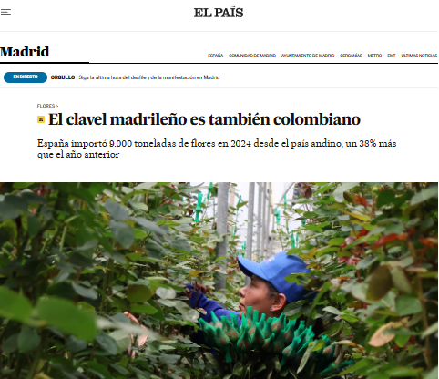 El clavel madrileño es también colombiano