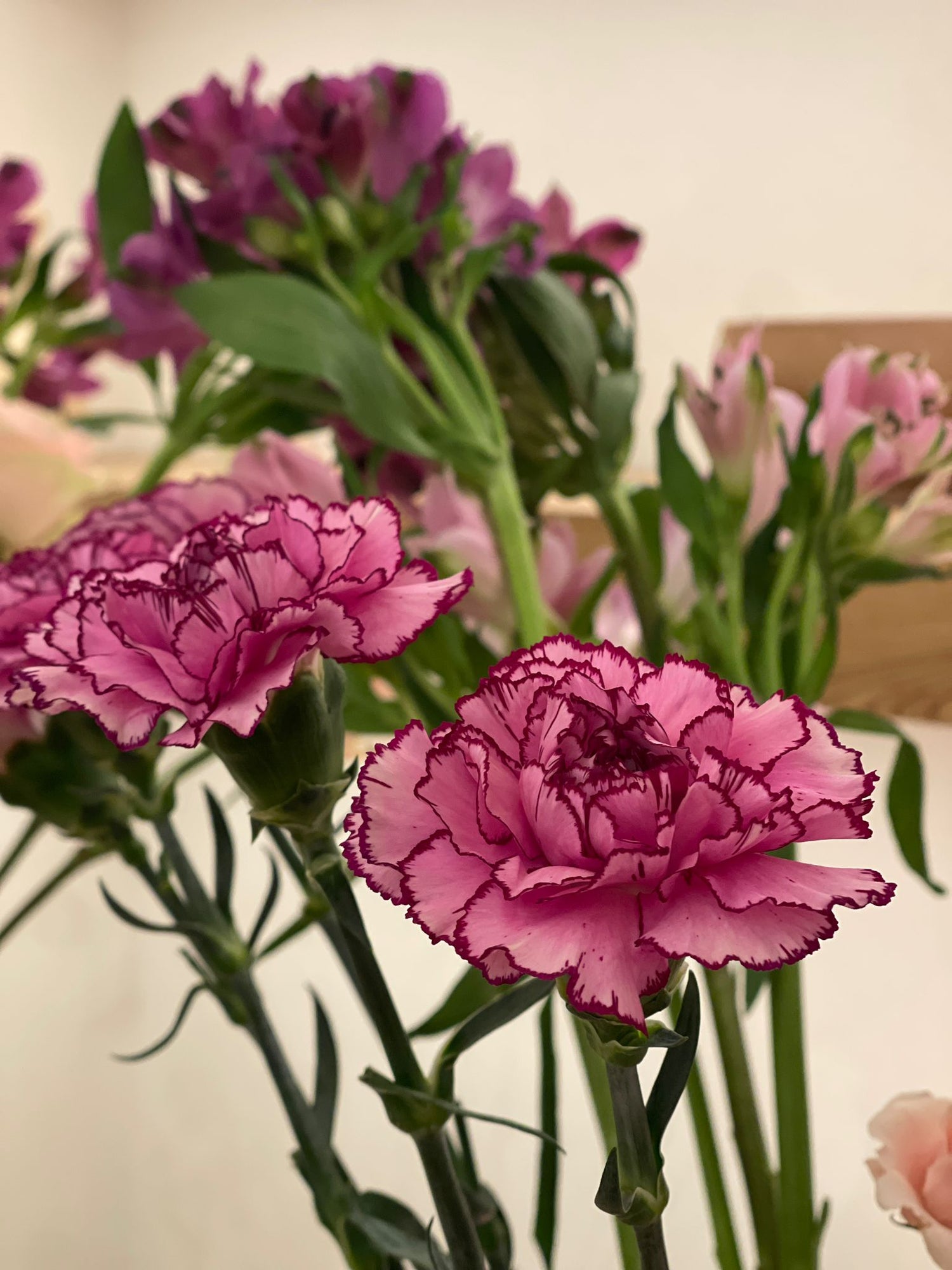 Flores frescas
