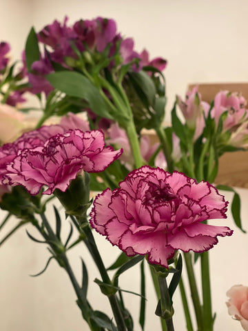 Flor fresca 1