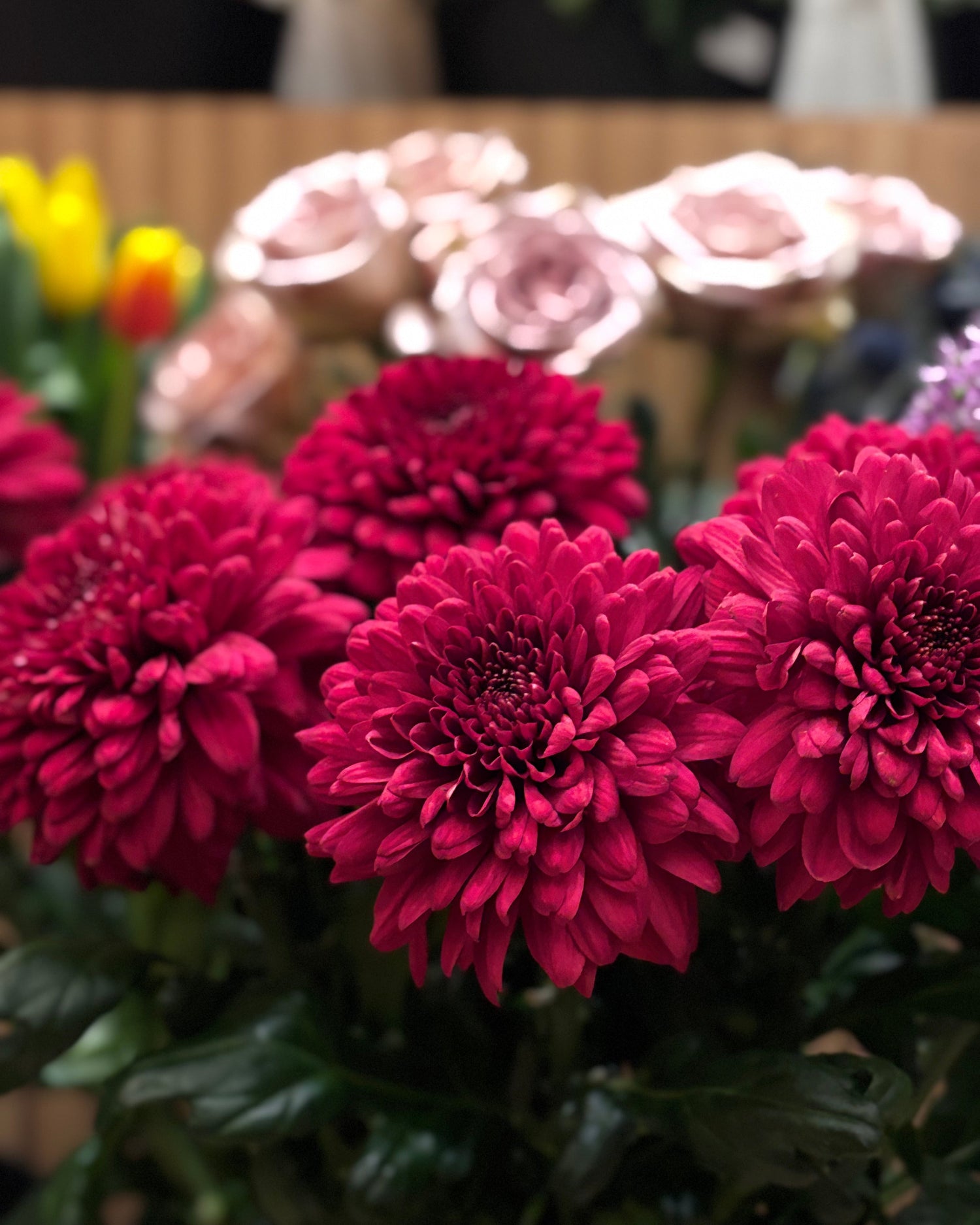 Flores frescas