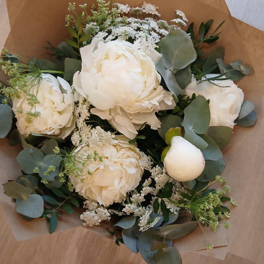 Peonia Blanca